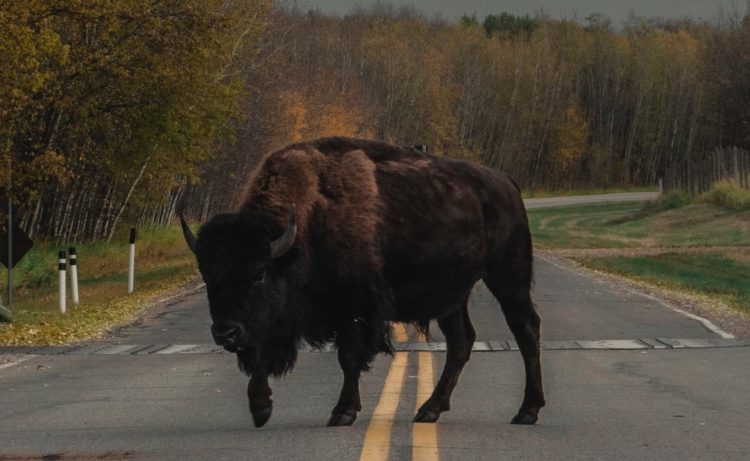 Bitcoin Price To Stay Below $30,000, Thick Ceiling To Hinder Rally?