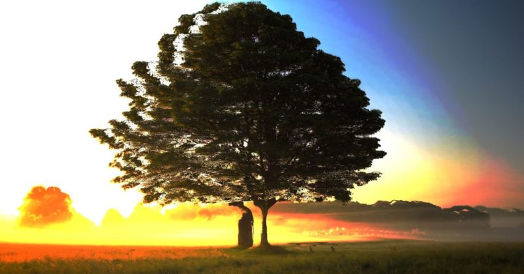 Web3 Is a Game Changer in ESG Compliance