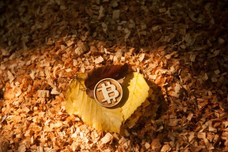 Bitcoin Fate Hangs On $25,400 Support, $20,500 Looms As Potential Bottom