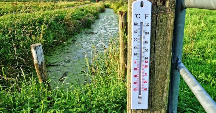 Celsius Token Holders Lose Bid to Hike CEL Valuation