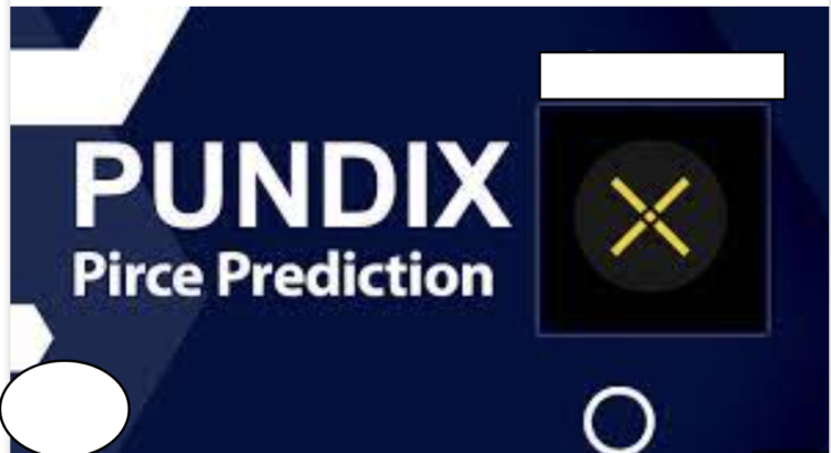 While PUNDIX Remains Uncertain, yPredict Offers Promising Outlook