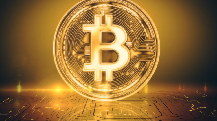 Will Bitcoin (BTC) Price Plunge Amid Rising Interest In Wall Street Memes?