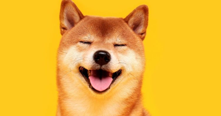 SHIB Gets Major Boost as Shiba Inu’s Shibarium Blockchain Goes Live