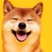 SHIB Gets Major Boost as Shiba Inu’s Shibarium Blockchain Goes Live