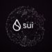 Is SUI Price Under Threat Due to Transactional Boom And Bust?