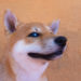 Shiba Inu Keeps Energy Alive, Snags 26% Gain