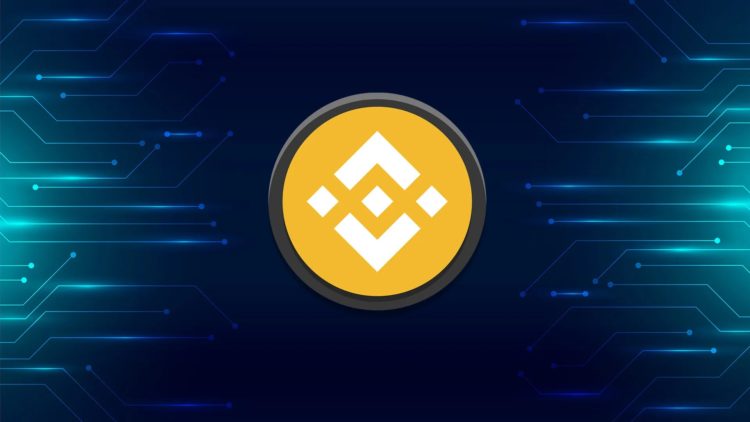 Binance Coin Drops Below $210, BNB Bridge Hacker In Trouble