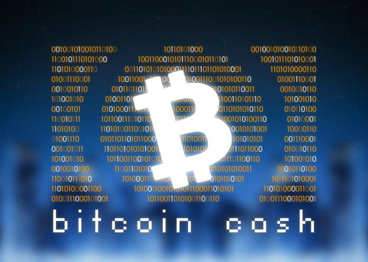 Bitcoin Cash Price Could Restart Increase To $250 If It Breaks This Resistance