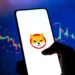 Shiba Inu’s Ascent Seems Unstoppable As SHIB Price Surges 8%, While Launchpad XYZ Is Climbing- What’s The Secret?