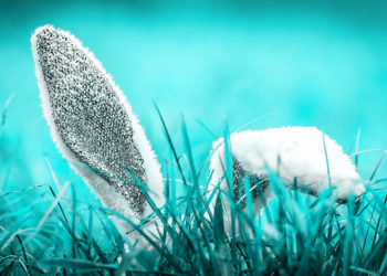 Friend.tech founders have controversial ties to failed NFT project Kosetto