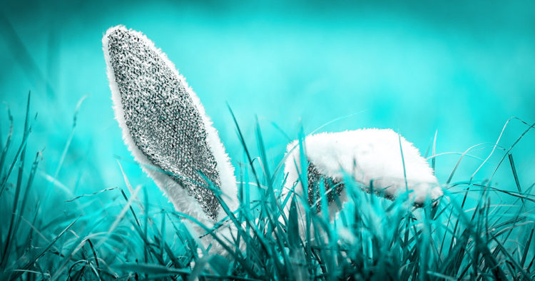 Friend.tech founders have controversial ties to failed NFT project Kosetto