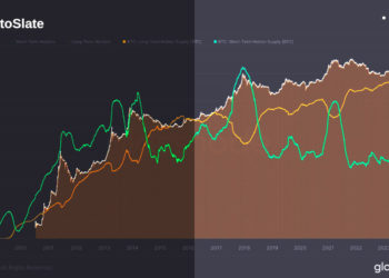 Bitcoin’s long-term holder supply hits record high as short-term interest dips