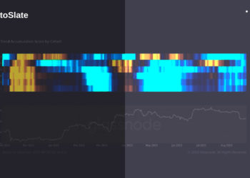Bitcoin accumulation sees slowdown amid August market downturn