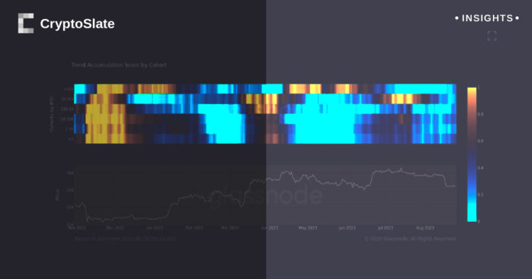 Bitcoin accumulation sees slowdown amid August market downturn