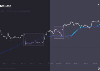 Decoding the 155-day cycle: An analysis of long-term Bitcoin holders and market trends