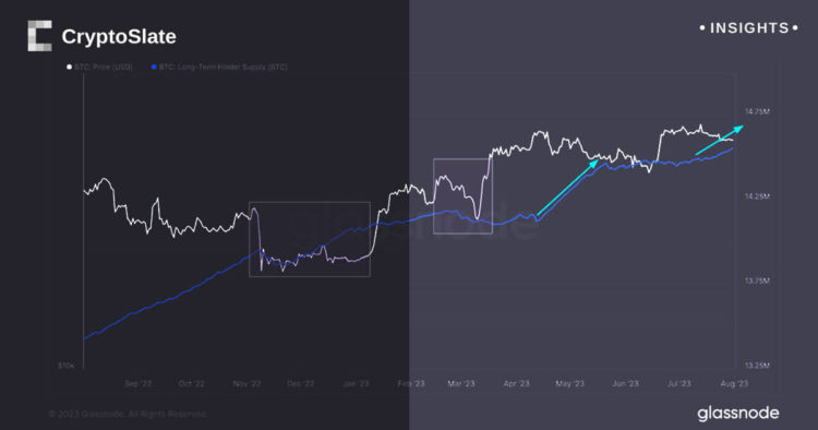 Decoding the 155-day cycle: An analysis of long-term Bitcoin holders and market trends
