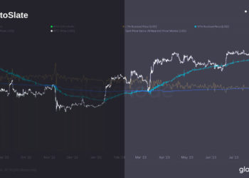 Bitcoin price resilience hinged on short-term holder cost basis, on-chain analysis shows