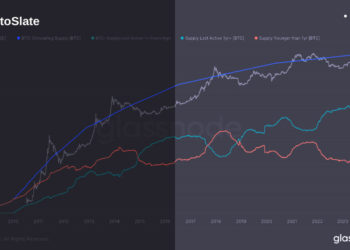Long-term HODLers rule Bitcoin landscape amid strategic cling to value despite price swings