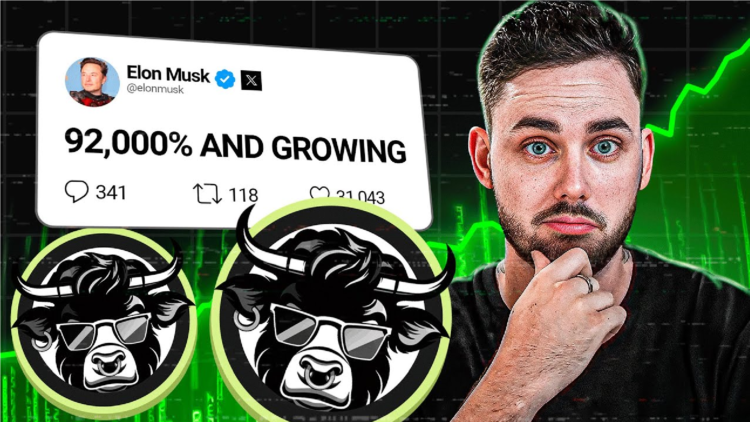 No Bs Crypto YouTube Channel Reviews The Next Pepe Killer Meme Token