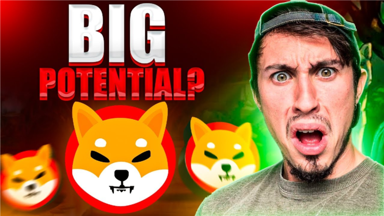 Could The Shibarium Mainnet Release Pump The Shiba Inu Price Up 5x Or Higher