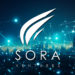 Sora Ventures champions decentralized science with investment in ResearchHub