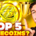 Top Meme Coins To Buy In The Crypto Crash – Pepe, Dogecoin, Shiba Inu & Two New Tokens