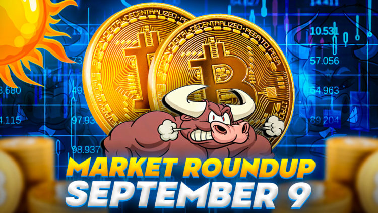 Bitcoin Price Prediction as Bears Pull BTC Price Below $26,000 – Can BTC Fall to $20,000 Again?