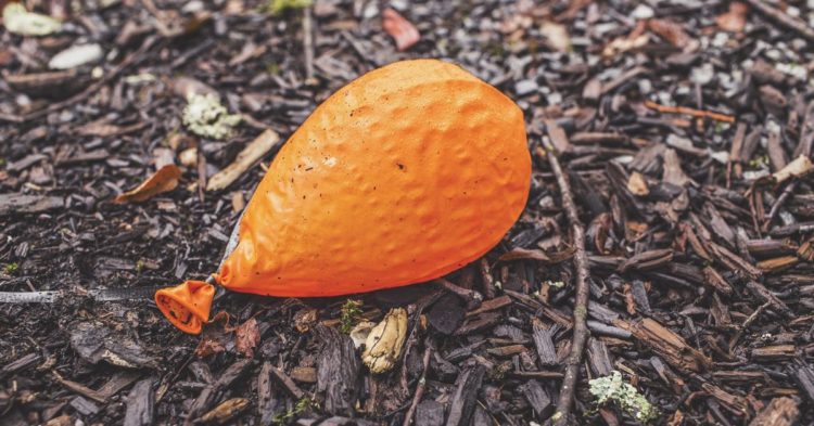 Ethereum’s Holesky Testnet Fails To Launch, in Rare Tech Misstep for the Blockchain