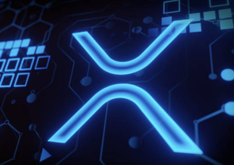 XRP Navigates to $0.49 – What’s Steering the Drop?