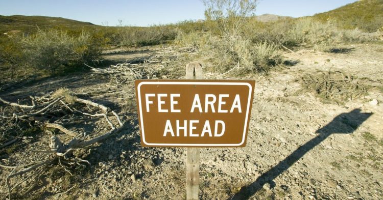 ETH Spot ETF, DeFi ETF Applications to Follow BTC Spot ETF Approval as Asset Management Seeks Fees: Bernstein