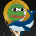 Pepe Coin Fall From Grace: What’s Turning The Whales Away?