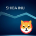 Shiba Inu Sees Increase In Accumulation By Major Investors