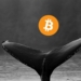 Bitcoin Whales Load Up With $1.5 Billion Worth Of BTC