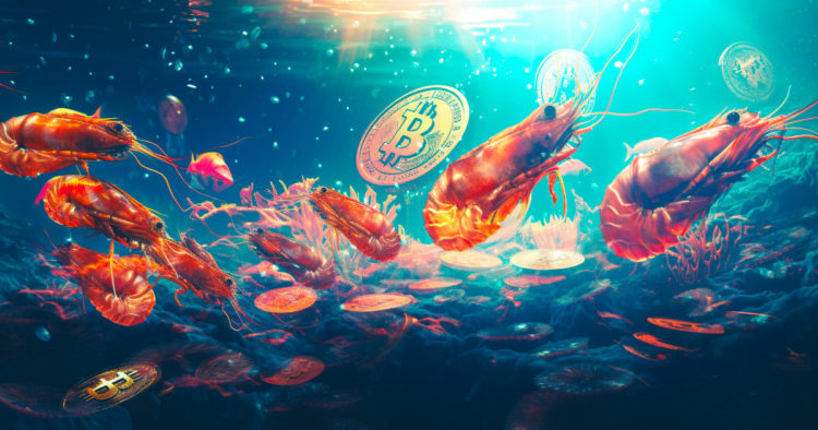 Bitcoin shrimp ramp up accumulation, signaling shift in market structure