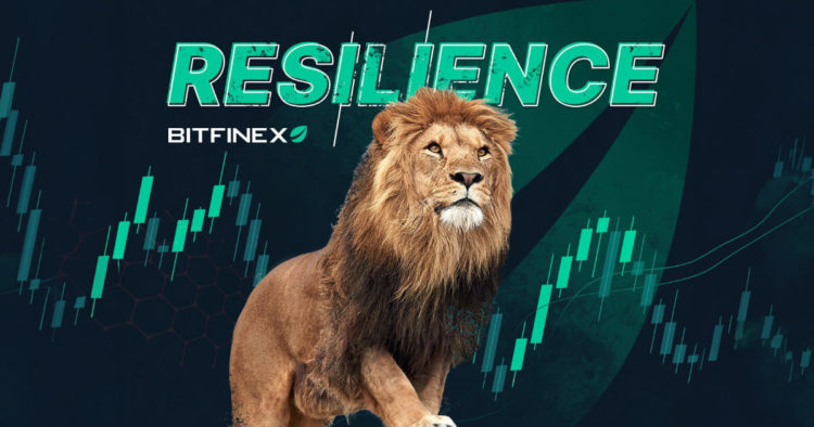 Adaptation and Growth: Bitfinex’s Resilience in the Crypto Revolution