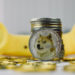 Dogecoin Poised for a 150% Surge? Key Price Levels to Watch