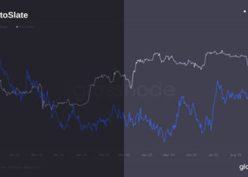 Bitcoin whales make waves by snapping up more coins despite summer price stabilization