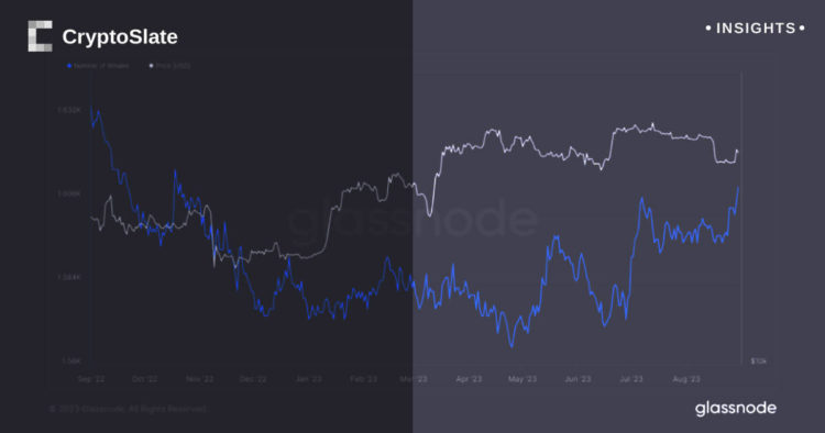 Bitcoin whales make waves by snapping up more coins despite summer price stabilization