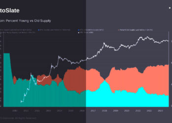 First-ever 80/20 investor split in Bitcoin shines a spotlight on long-term holding