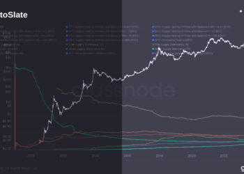 Shrimp and whales surge ahead in shifting Bitcoin balance landscape