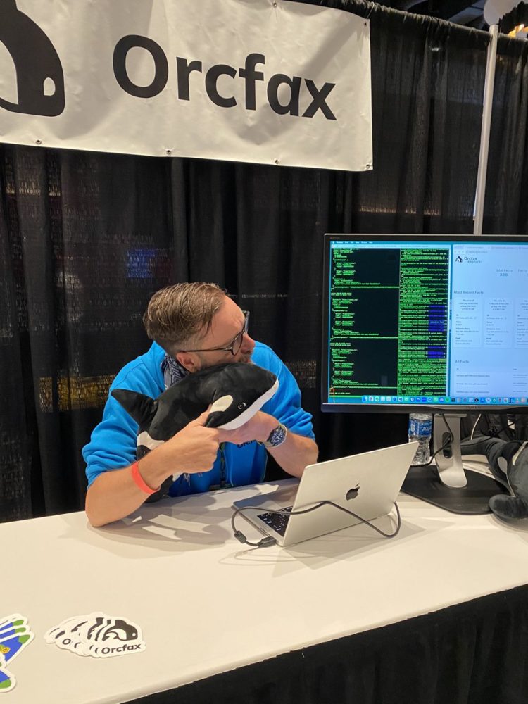 New Cryptocurrency Releases, Listings, and Presales Today – MEMETOON, Orcfax, Internet Computer Technology