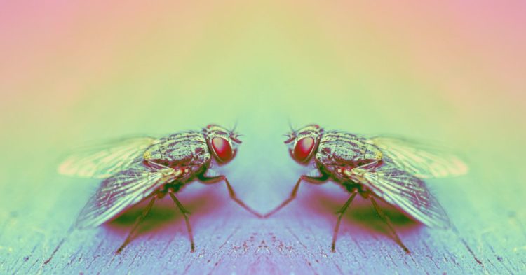 Blackbird, Crypto Restaurant App, Raises $24M in Funding Led by A16z