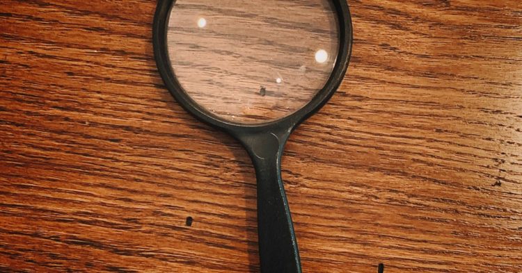 As Fed Rate Pause Comes into Play Analysts Hint That Bitcoin (BTC) May Repeat Its 2019 Performance