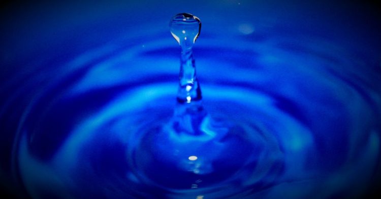 Stablecoin Lender Liquity’s Token Gains 80% in Month as Activity Increases