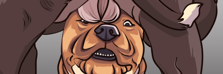 New Cryptocurrency Releases, Listings and Presales Today – Dogs Rock, FRLONGTOKEN, Soil