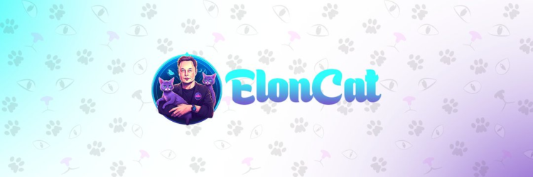 New Cryptocurrency Releases, Listings and Presales Today – House of Degenerates, Elon Cat, HairyPlotterFTX