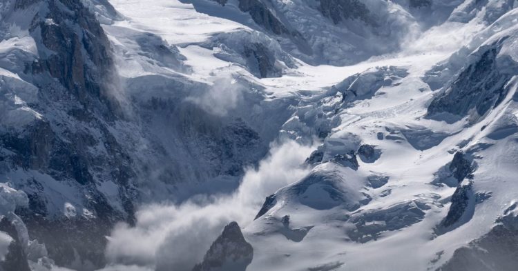 Hemp and Cannabis Certifications Minted on Avalanche (AVAX)