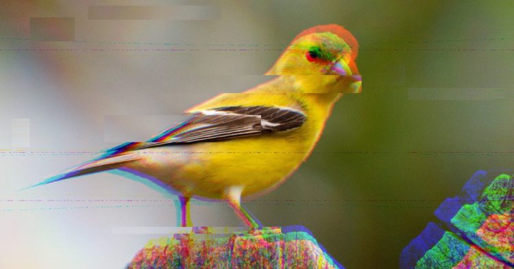 Real-World Asset Loan Worth $20M Sours on DeFi Platform Goldfinch, Bringing RWA Lending Under Scrutiny