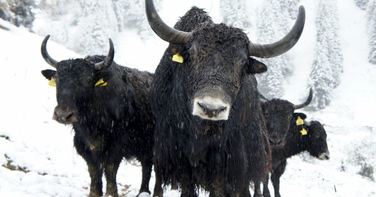 Waiting for the Next Crypto Bull Market? It’s Already Here.