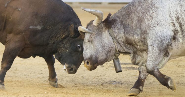 Bitcoin (BTC) Prices at $29.3K as Bulls Charge Ahead With ETF Optimism